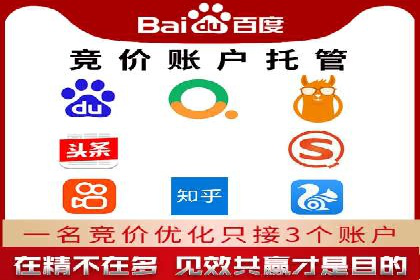 某知名品牌SEM运营策略及效果评估